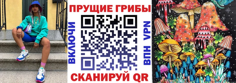 Псилоцибиновые грибы Psilocybine cubensis  Купить где  Бузулук 